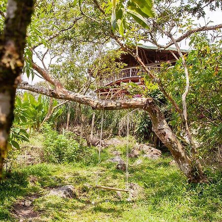 Ecofinca Fuente Alegre โกกอร์นา ภายนอก รูปภาพ