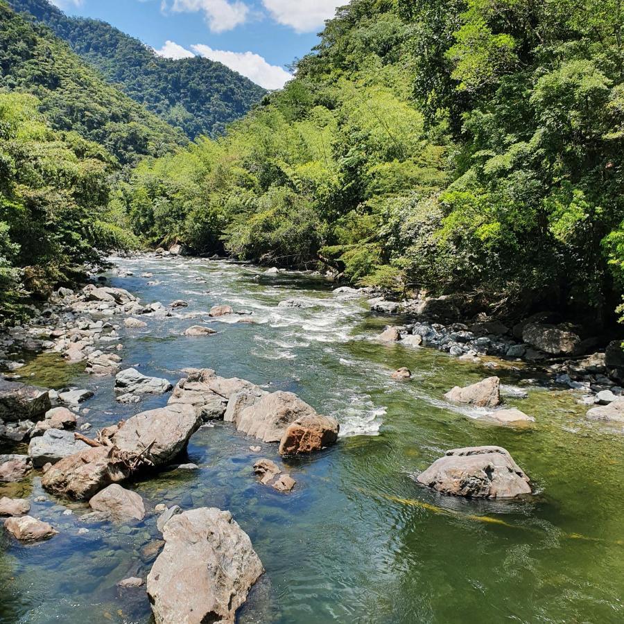Ecofinca Fuente Alegre โกกอร์นา ภายนอก รูปภาพ