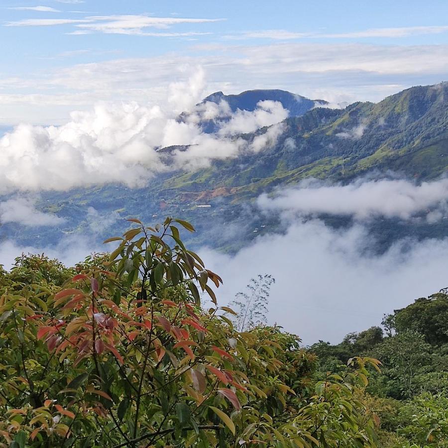 Ecofinca Fuente Alegre โกกอร์นา ภายนอก รูปภาพ