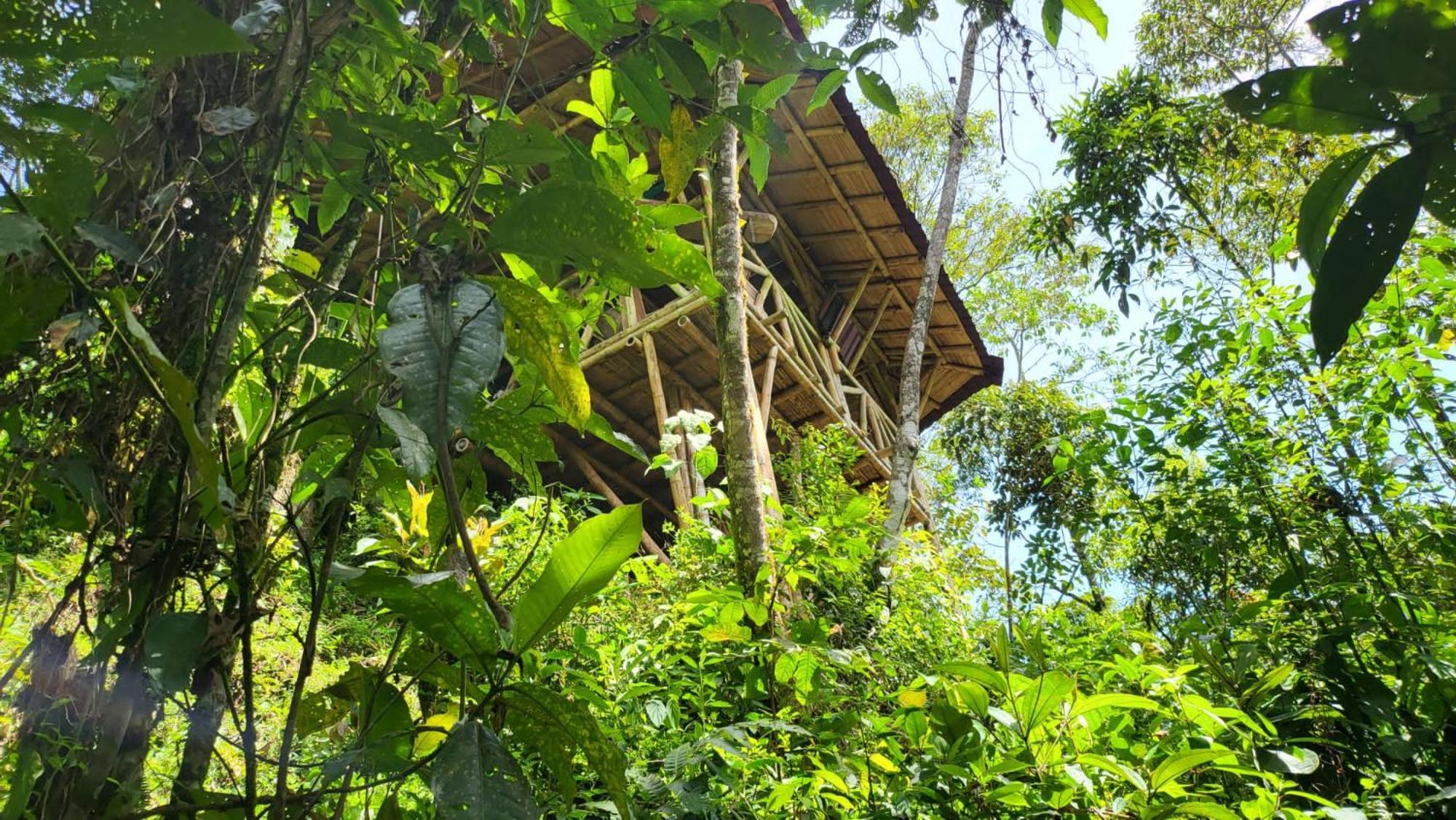 Ecofinca Fuente Alegre โกกอร์นา ภายนอก รูปภาพ