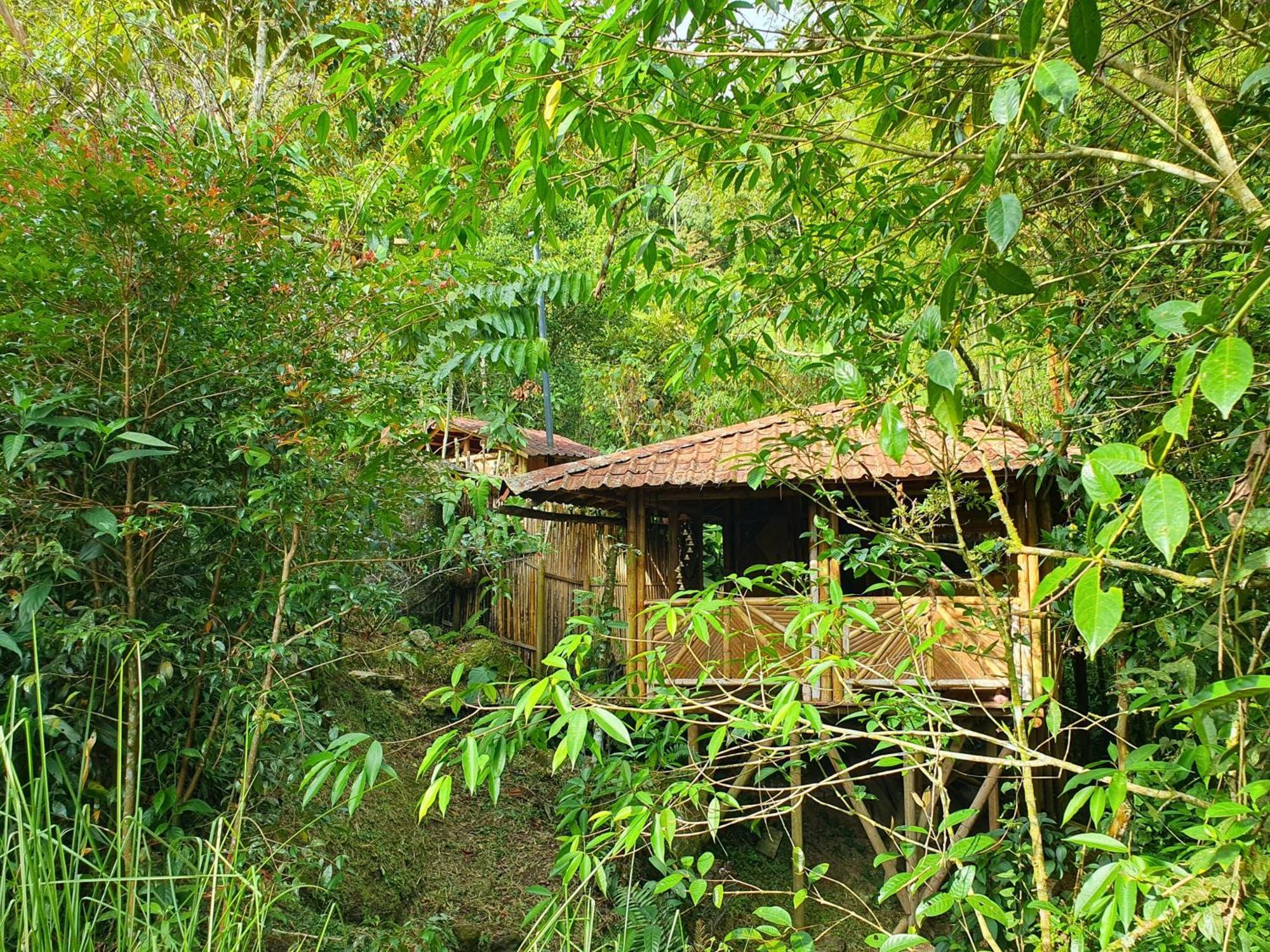 Ecofinca Fuente Alegre โกกอร์นา ห้อง รูปภาพ