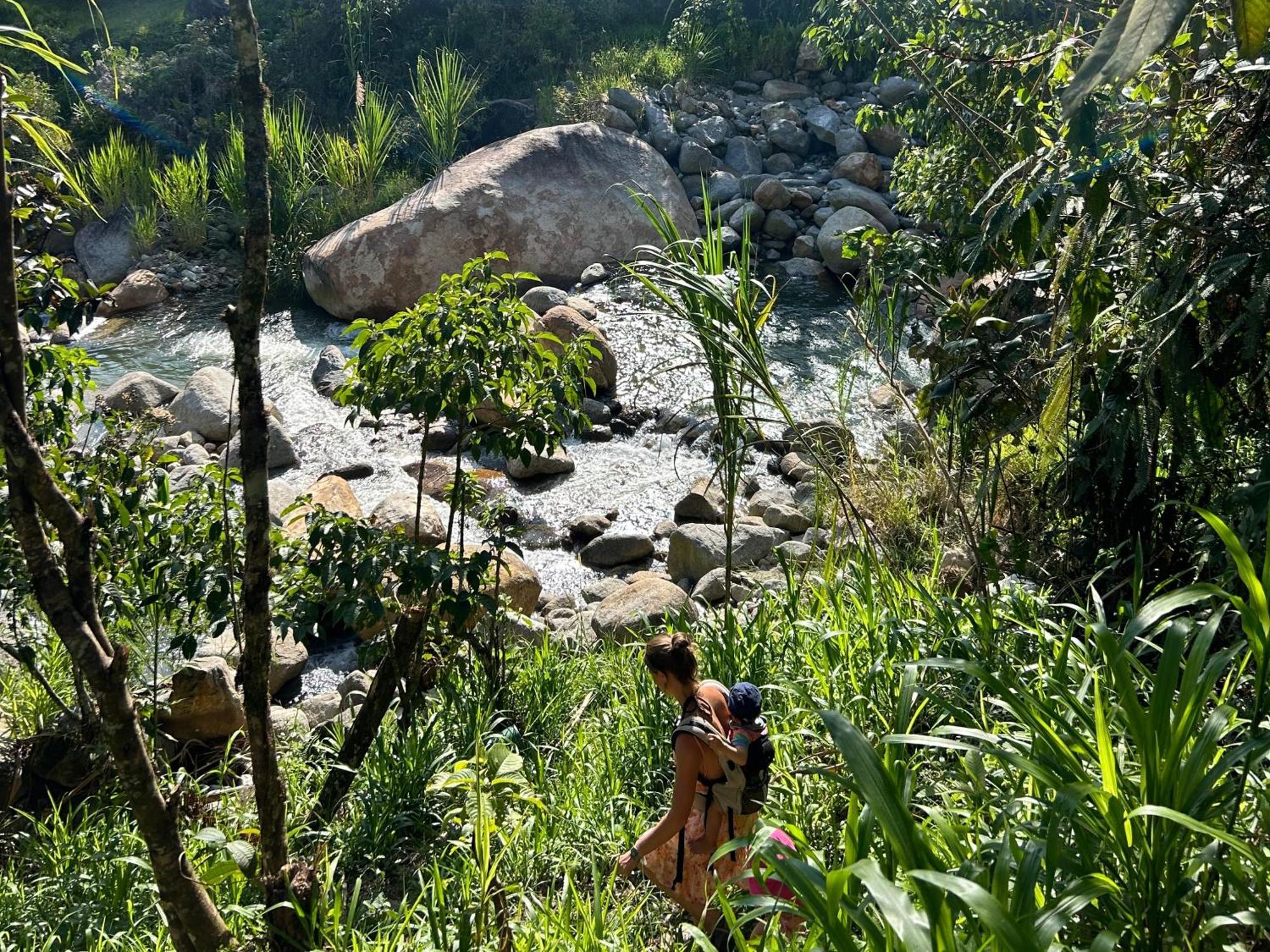 Ecofinca Fuente Alegre โกกอร์นา ภายนอก รูปภาพ