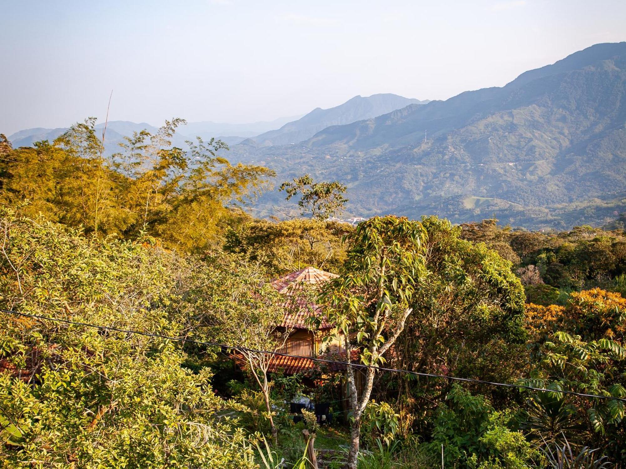 Ecofinca Fuente Alegre โกกอร์นา ภายนอก รูปภาพ
